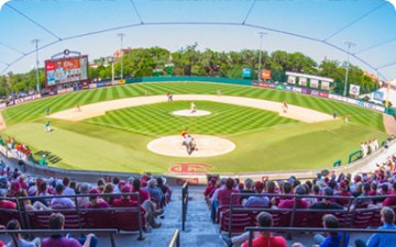 renovations-baseball